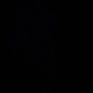 Meet your Posher, Isabel